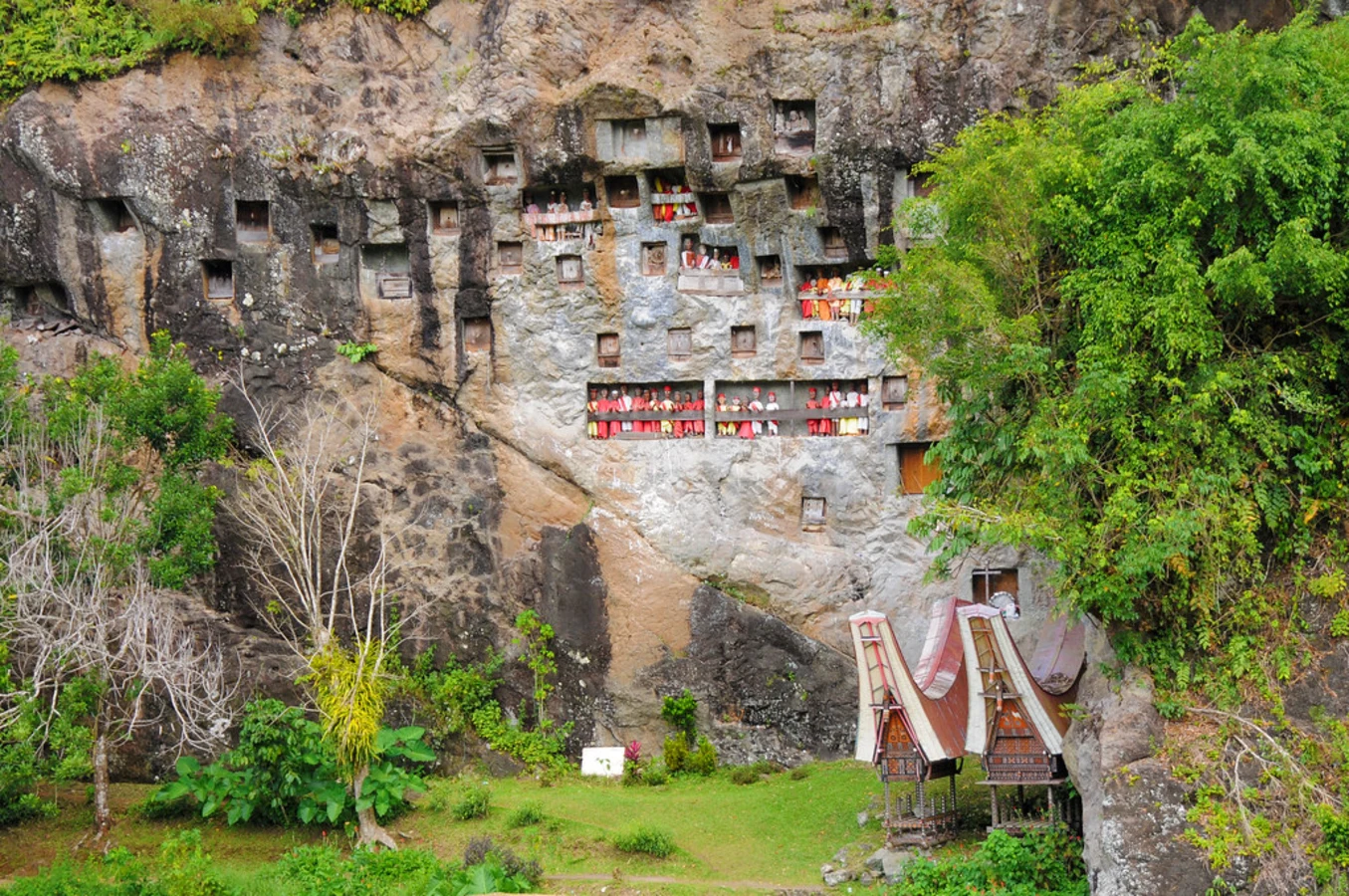 Pays Toraja, Indonésie