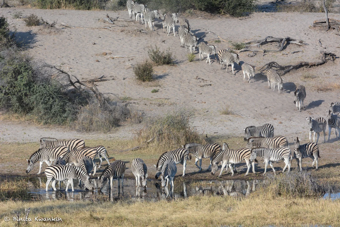 Boteti River, Botswana