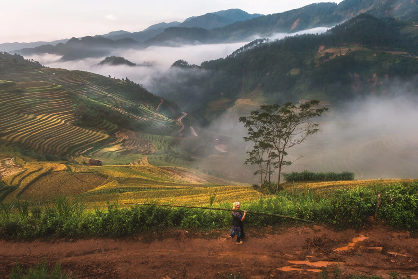 Mu Cang Chai, Vietnam