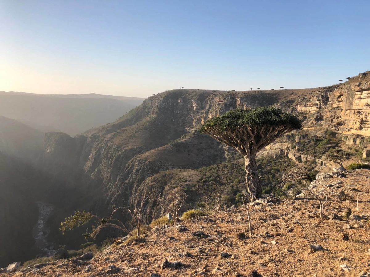 Dirhour Canyon, Yémen, Socotra