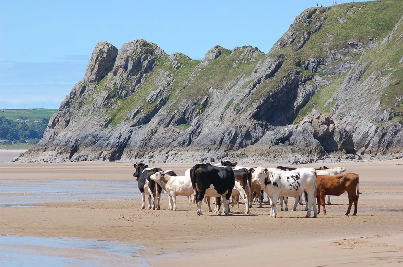 Péninsule de Gower, Pays de Galles