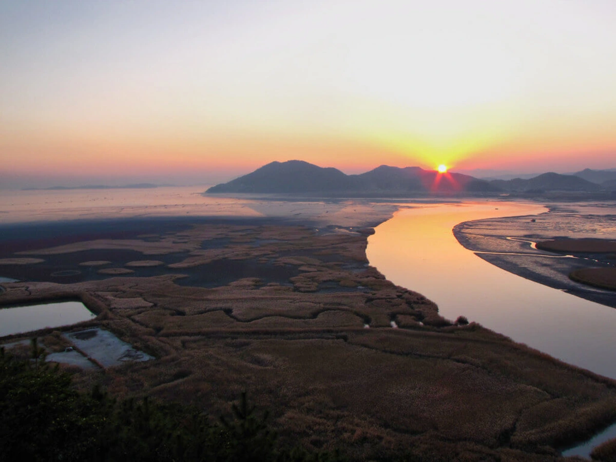 Baie de Suncheon, Corée du Sud