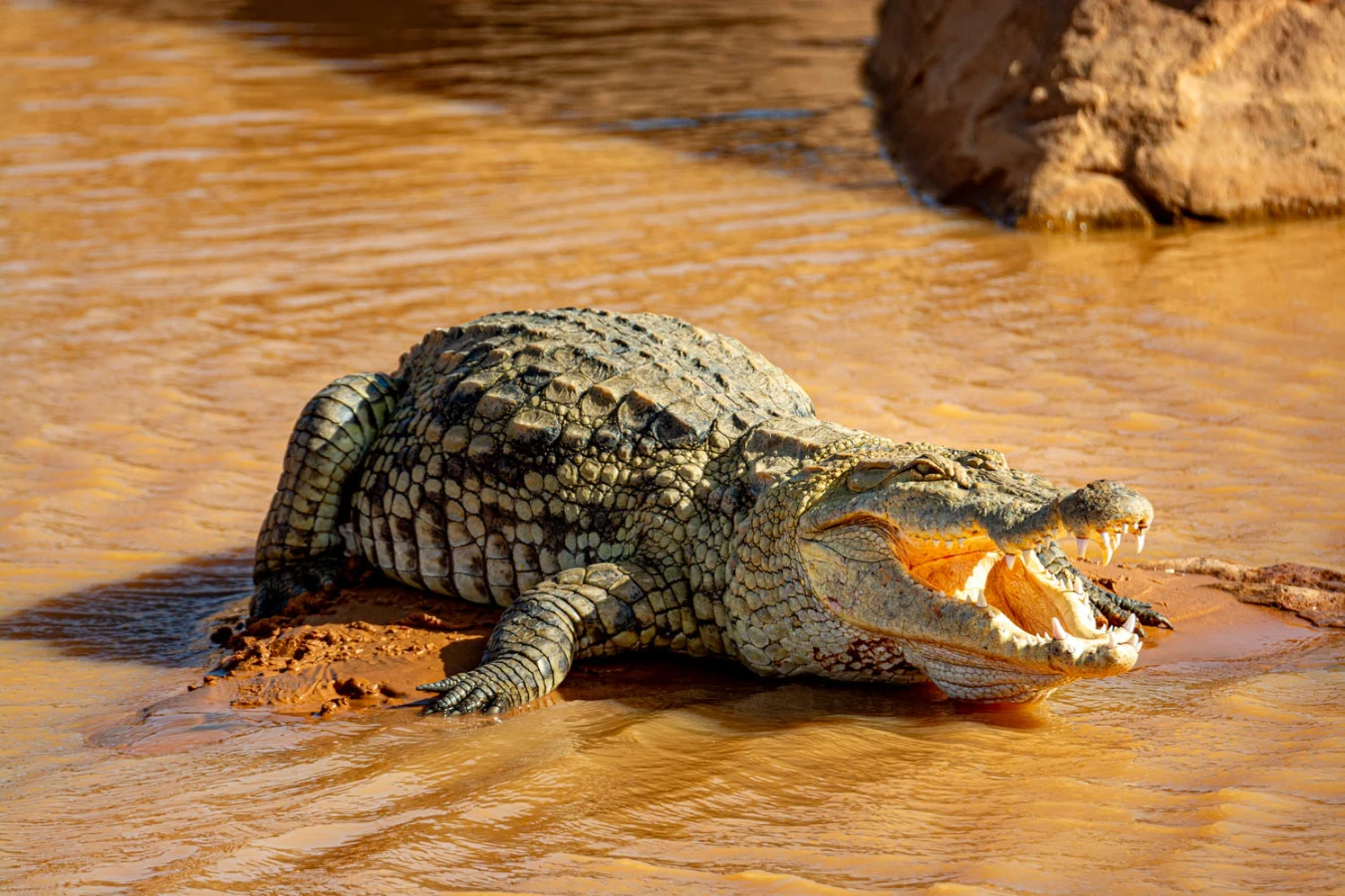 Guelta de Matmata, Mauritanie