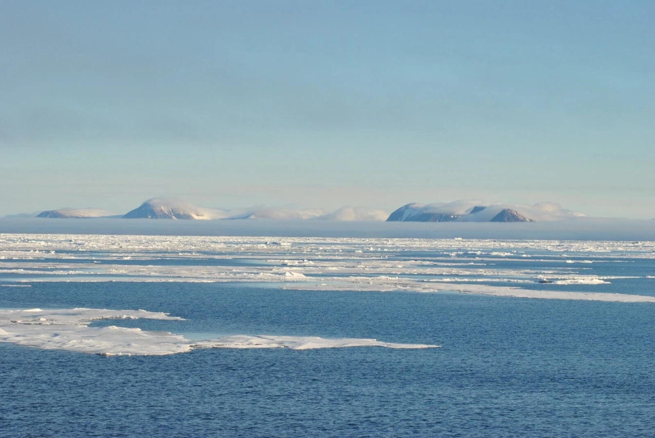Sjuoyane, Svalbard et Jan Mayen