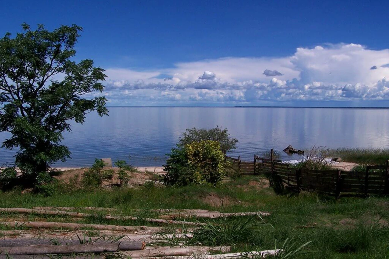 Lac Bangwelo, Zambie