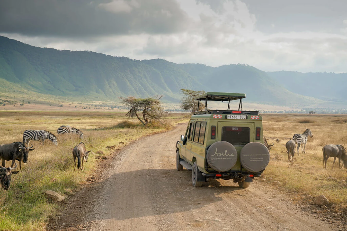 Aire de conservation du Ngorongoro, Tanzanie