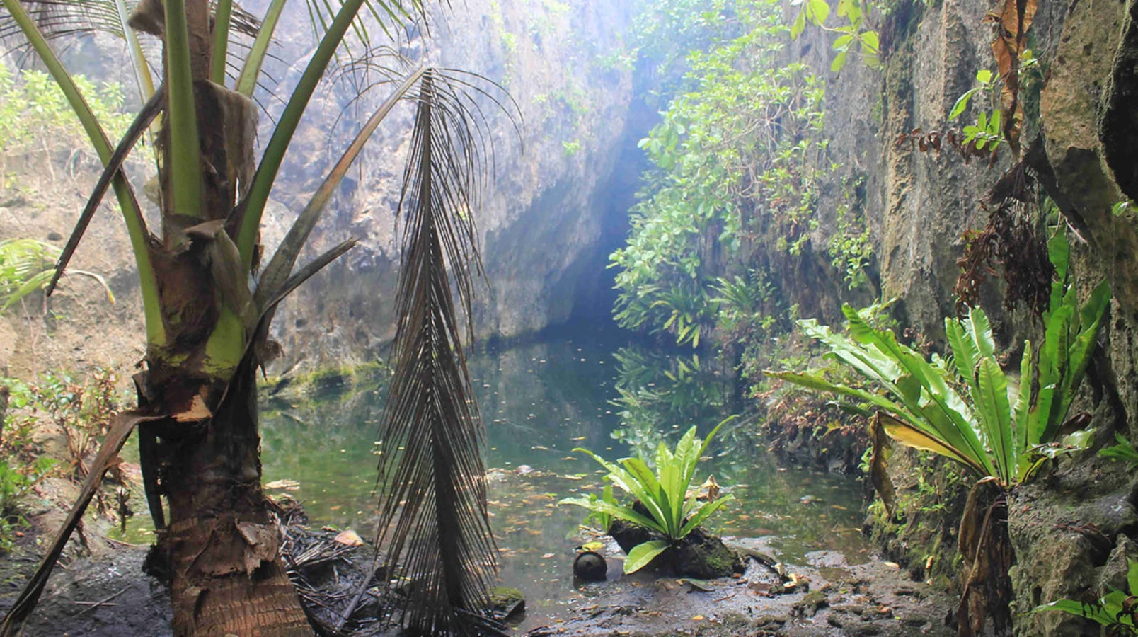 Togo Chasm, Niue