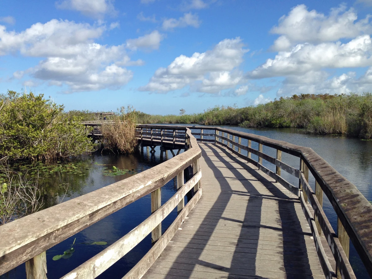 Anhinga Trail, États-Unis