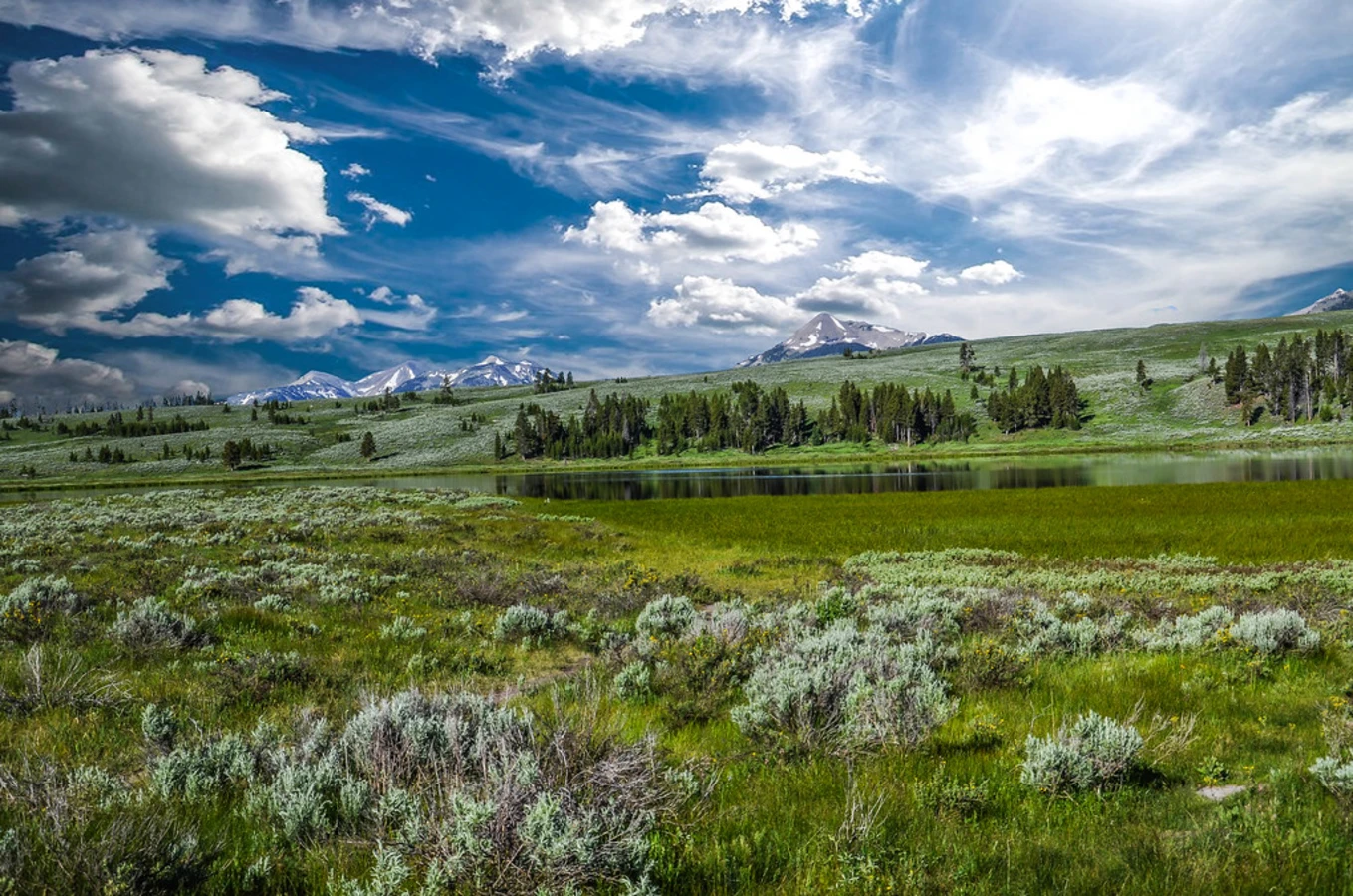 Hayden Valley, États-Unis