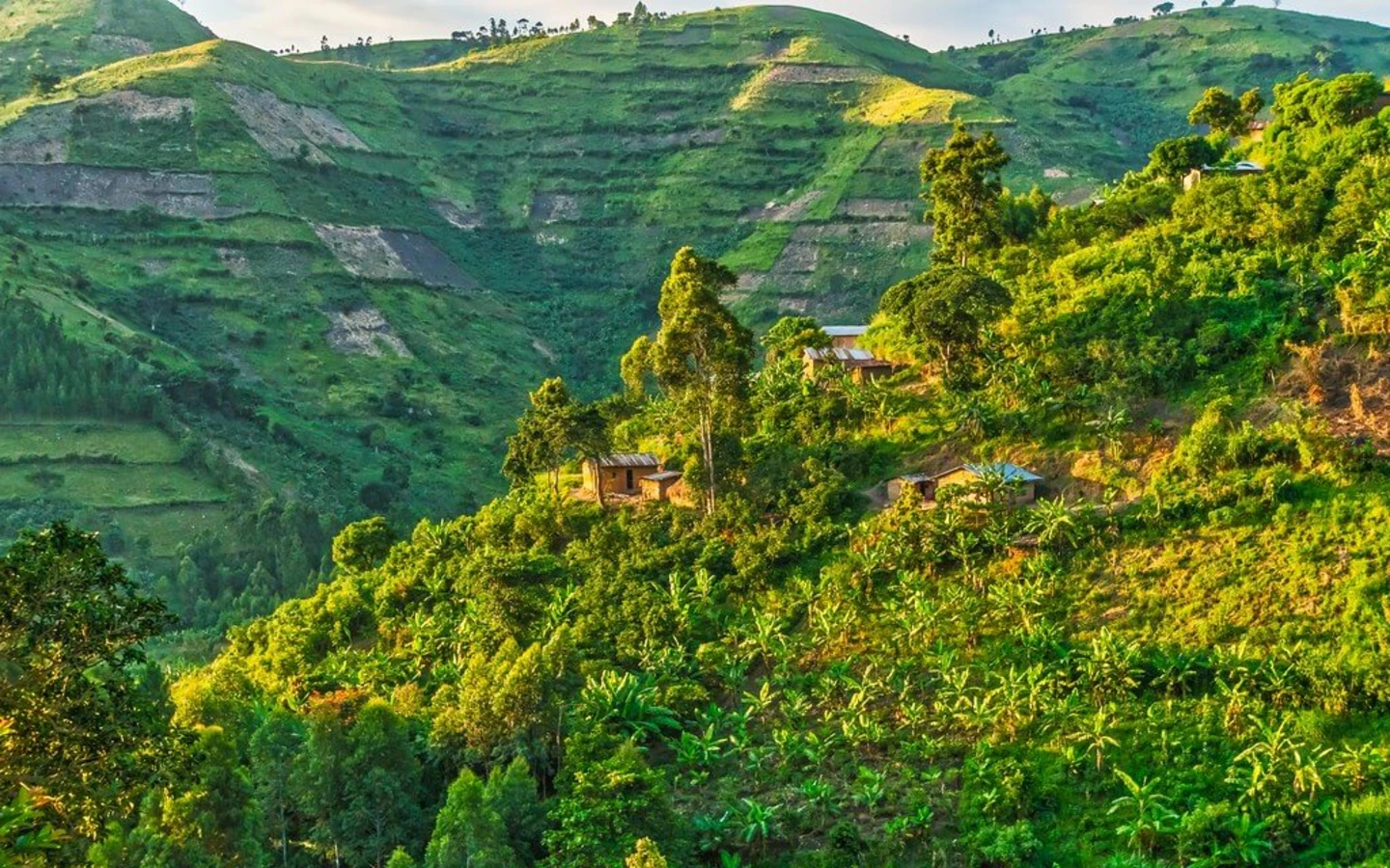 Parc national de Semuliki, Ouganda
