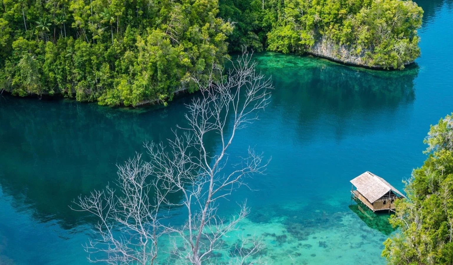 Kabui Bay, Indonésie