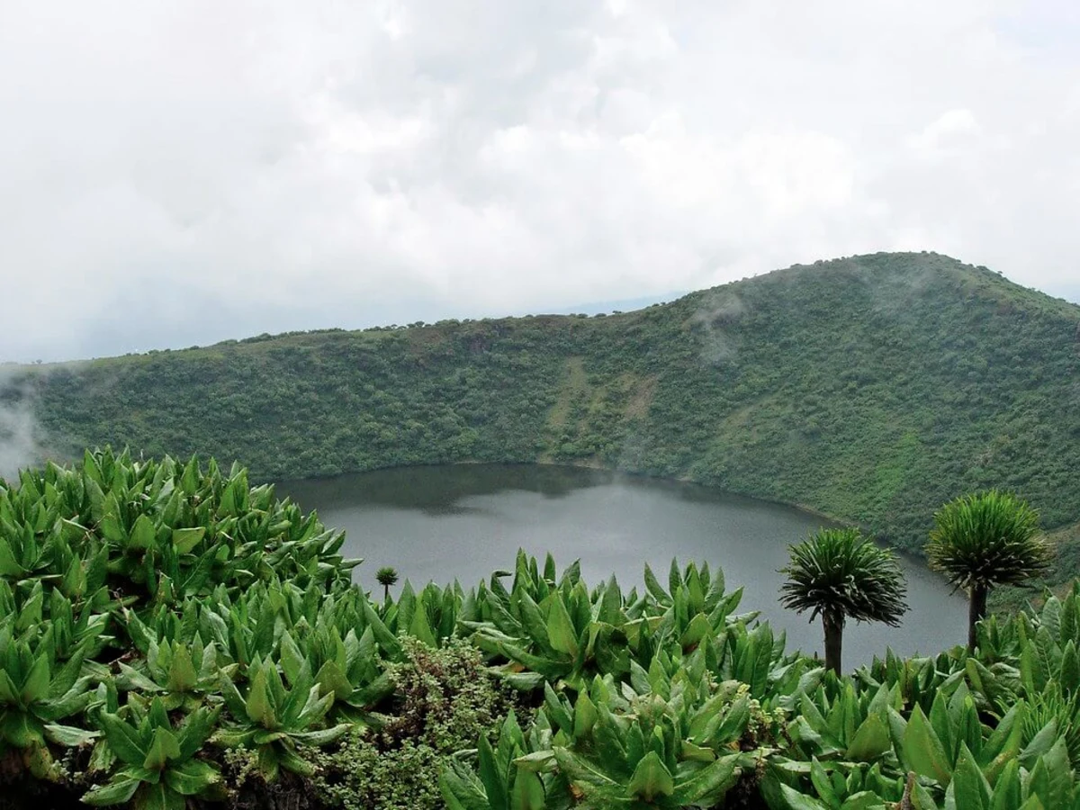 Mont Visoke, Rwanda, République démocratique du Congo