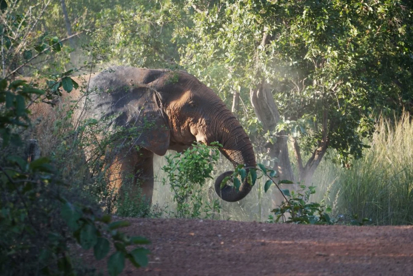 Parc national de Kakum, Ghana