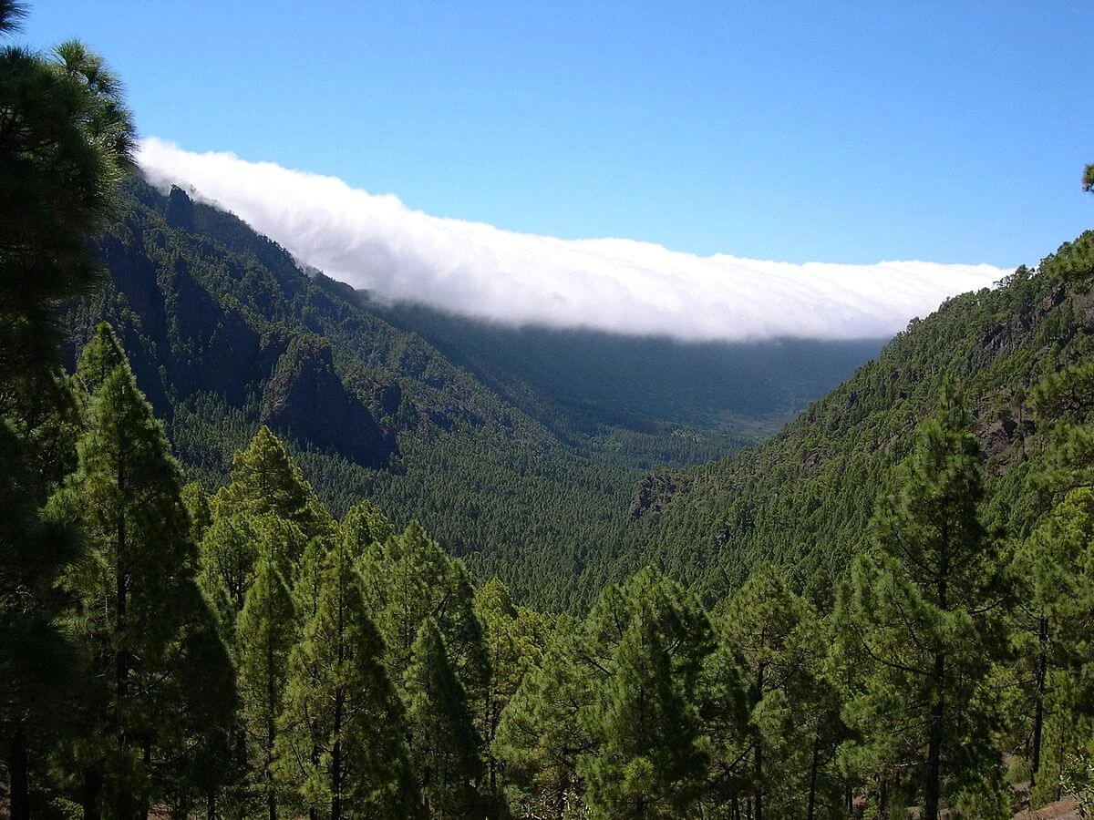 La Palma, Espagne, Canaries