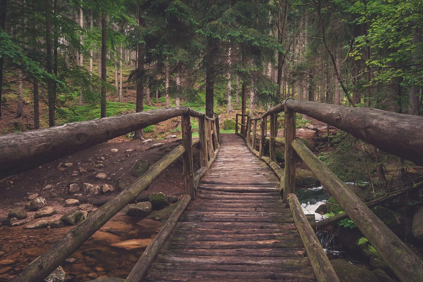 Parc national des Karkonosze, Pologne