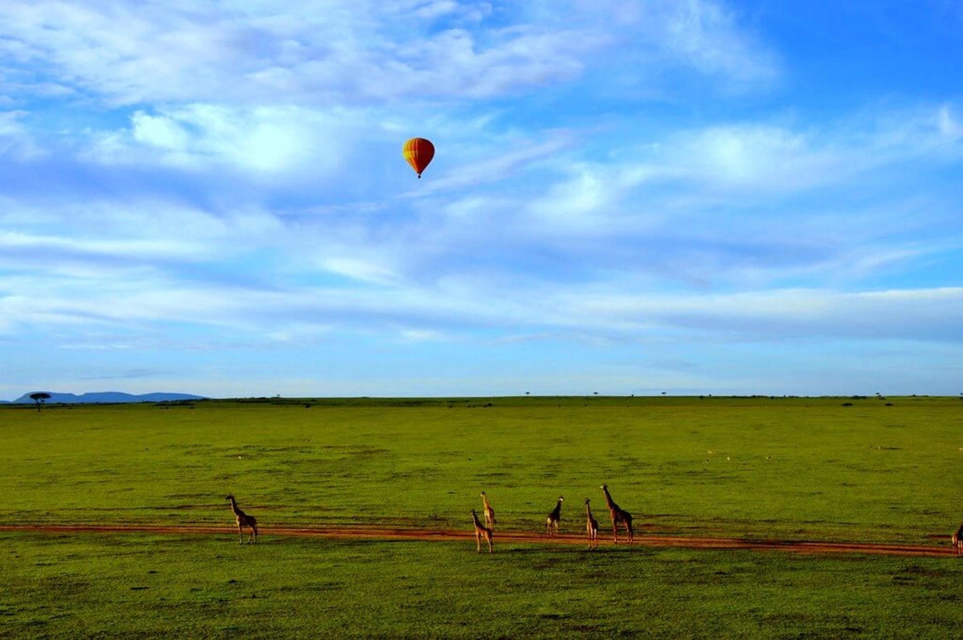 Réserve nationale du Masai Mara, Kenya