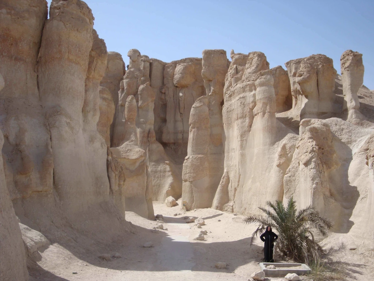 Al-Hassa, Arabie saoudite