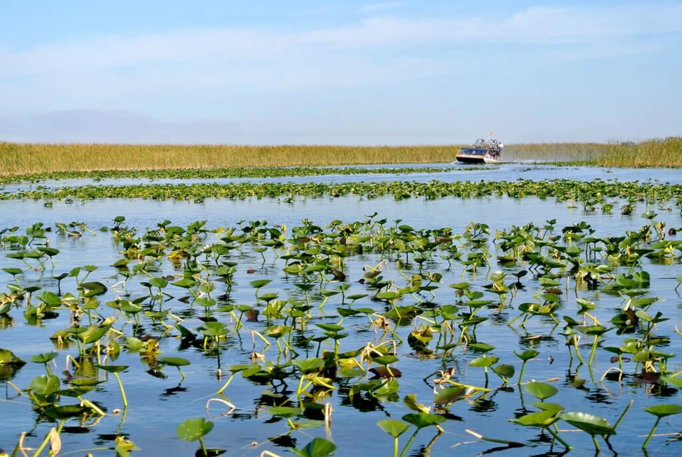 Parc national des Everglades, États-Unis