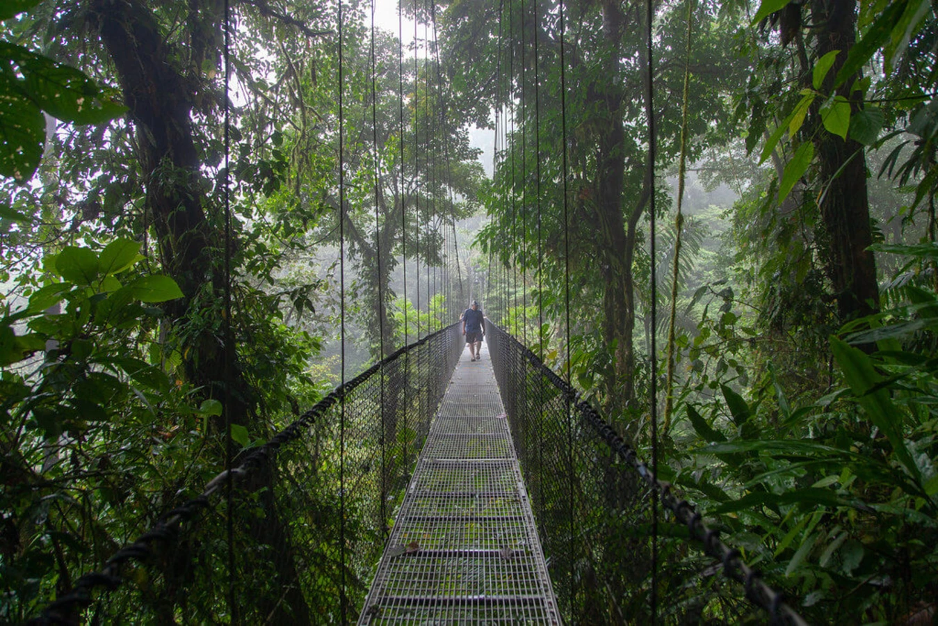Mistico Arenal Hanging Bridges, Costa Rica