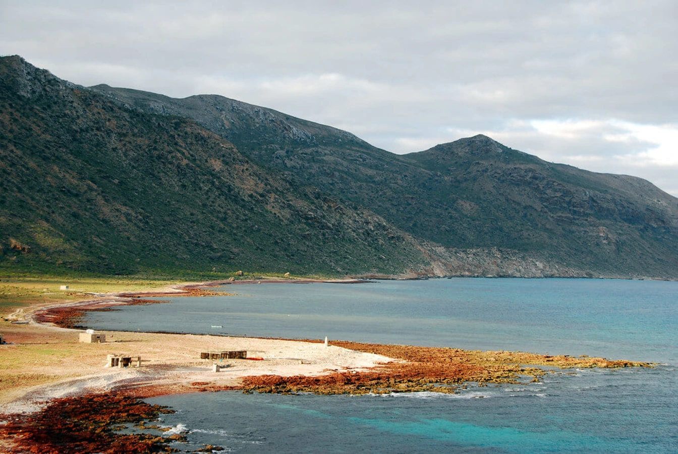 Dihamri Campsite, Yémen, Socotra