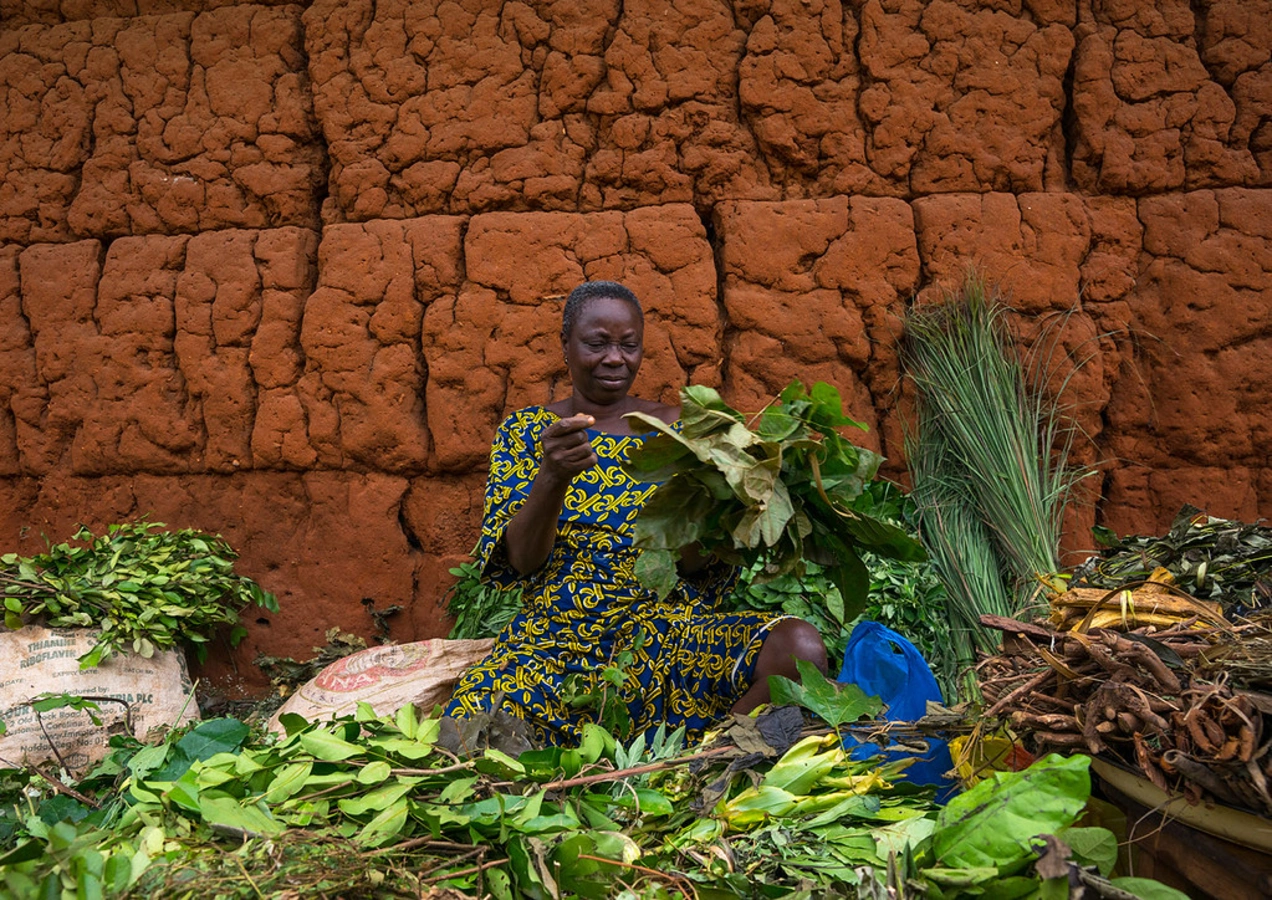 Grand marché d'Adjara, Bénin
