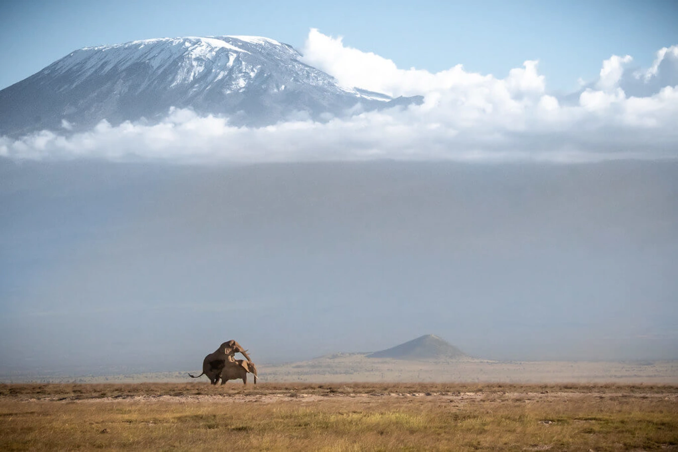 Kilimandjaro, Tanzanie