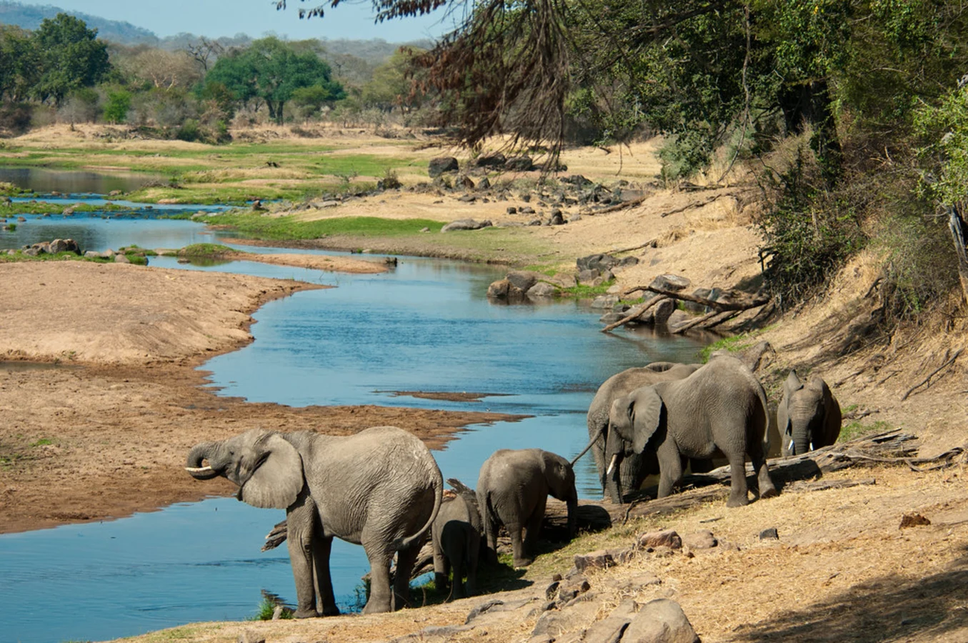 Ruaha, Tanzanie, Tanzanie