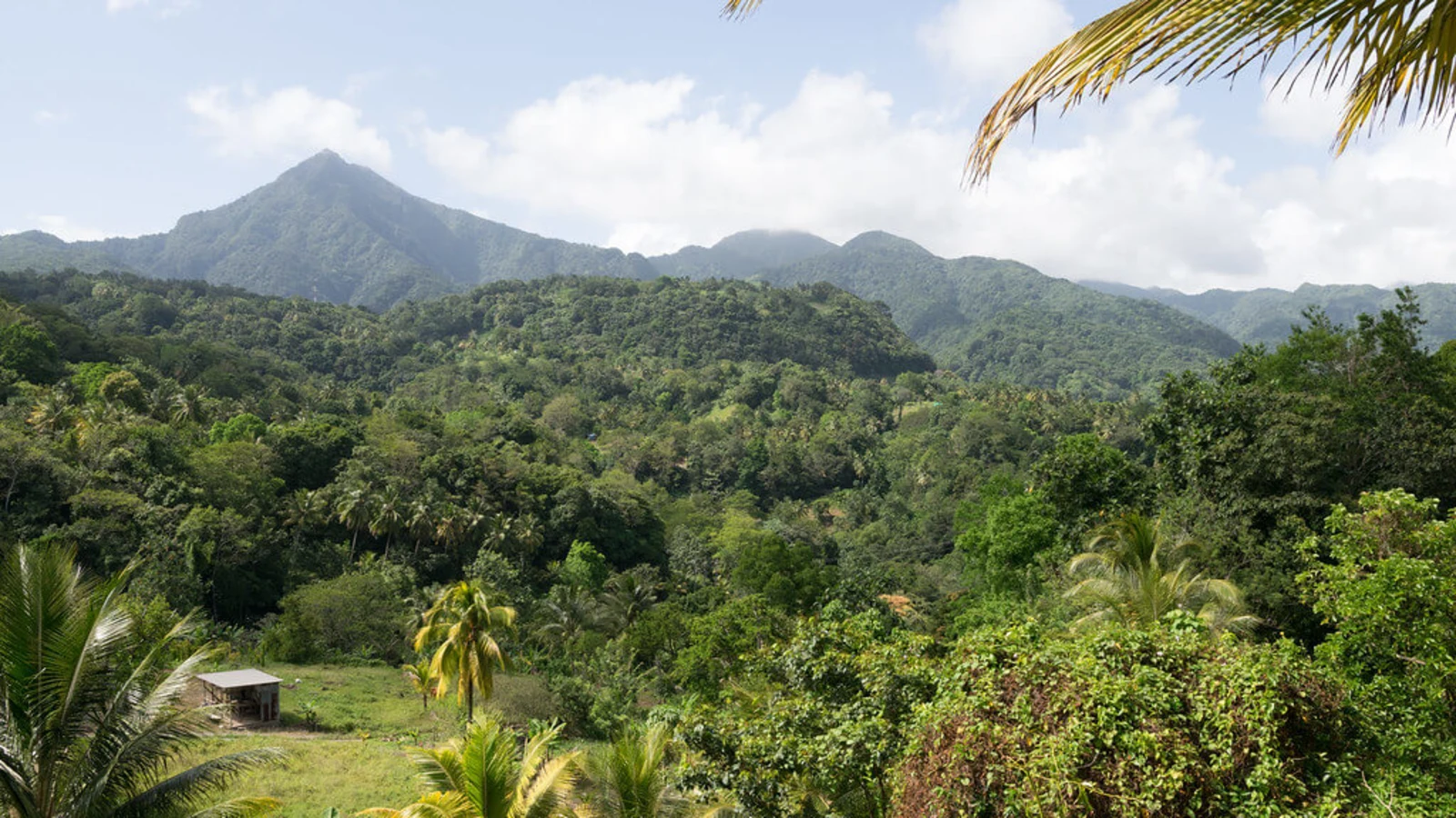 Waitukubuli National Trail, Dominique