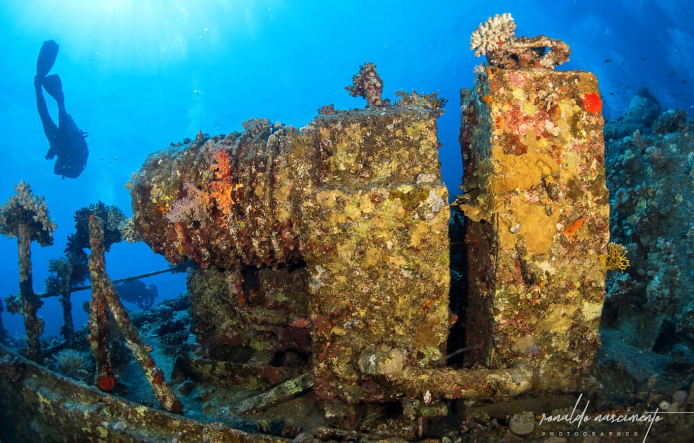 Épave du SS Thistlegorm, Égypte