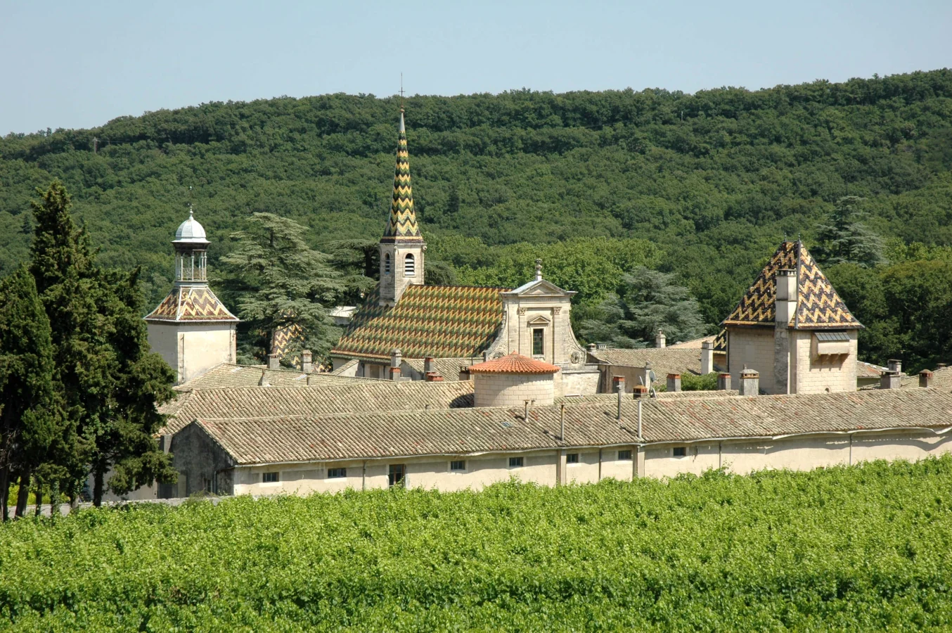 Chartreuse de Valbonne, France