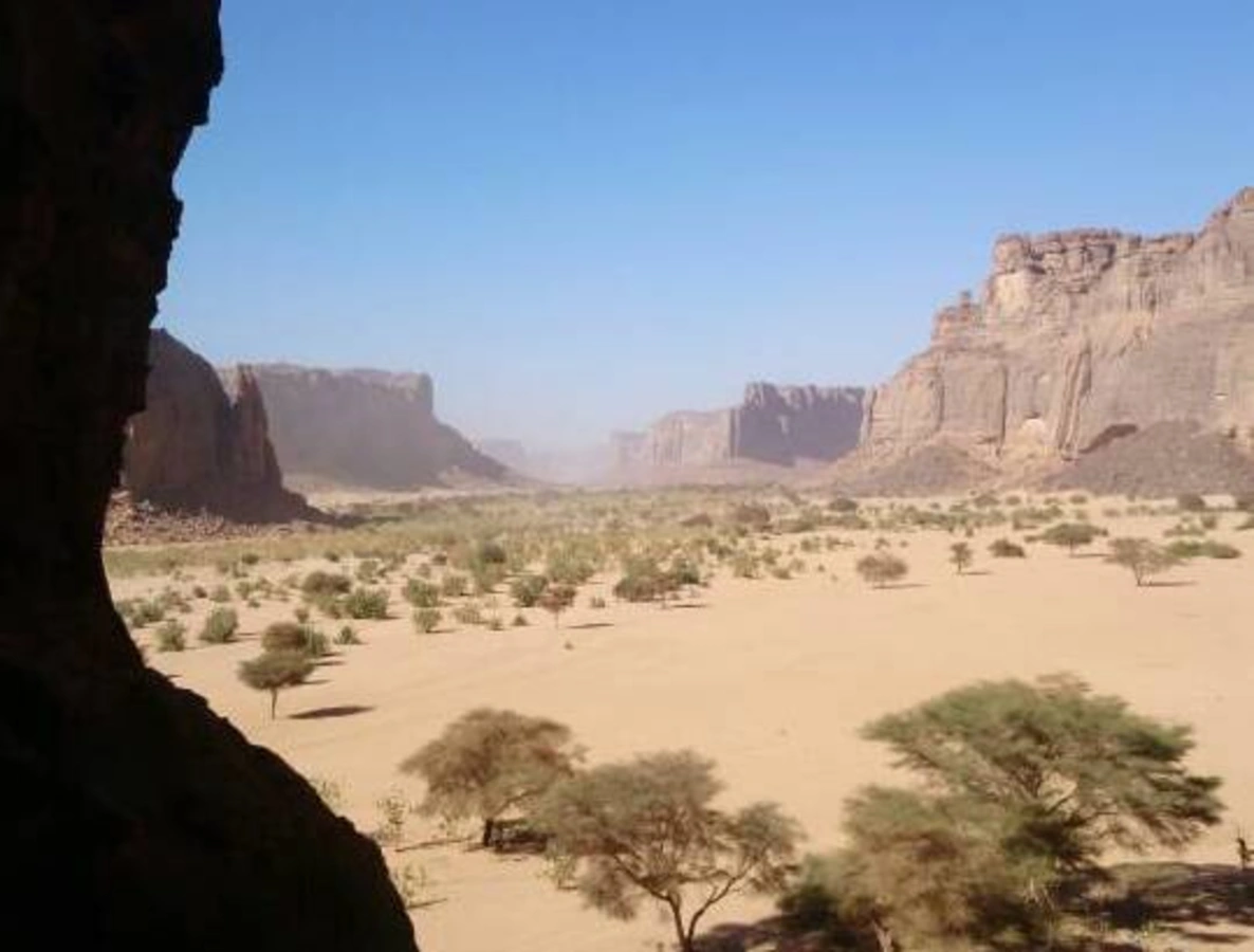 Forêts claires xérophiles d'altitude du Tibesti et du Jebel Uweinat, Égypte, Soudan, Libye, Tchad