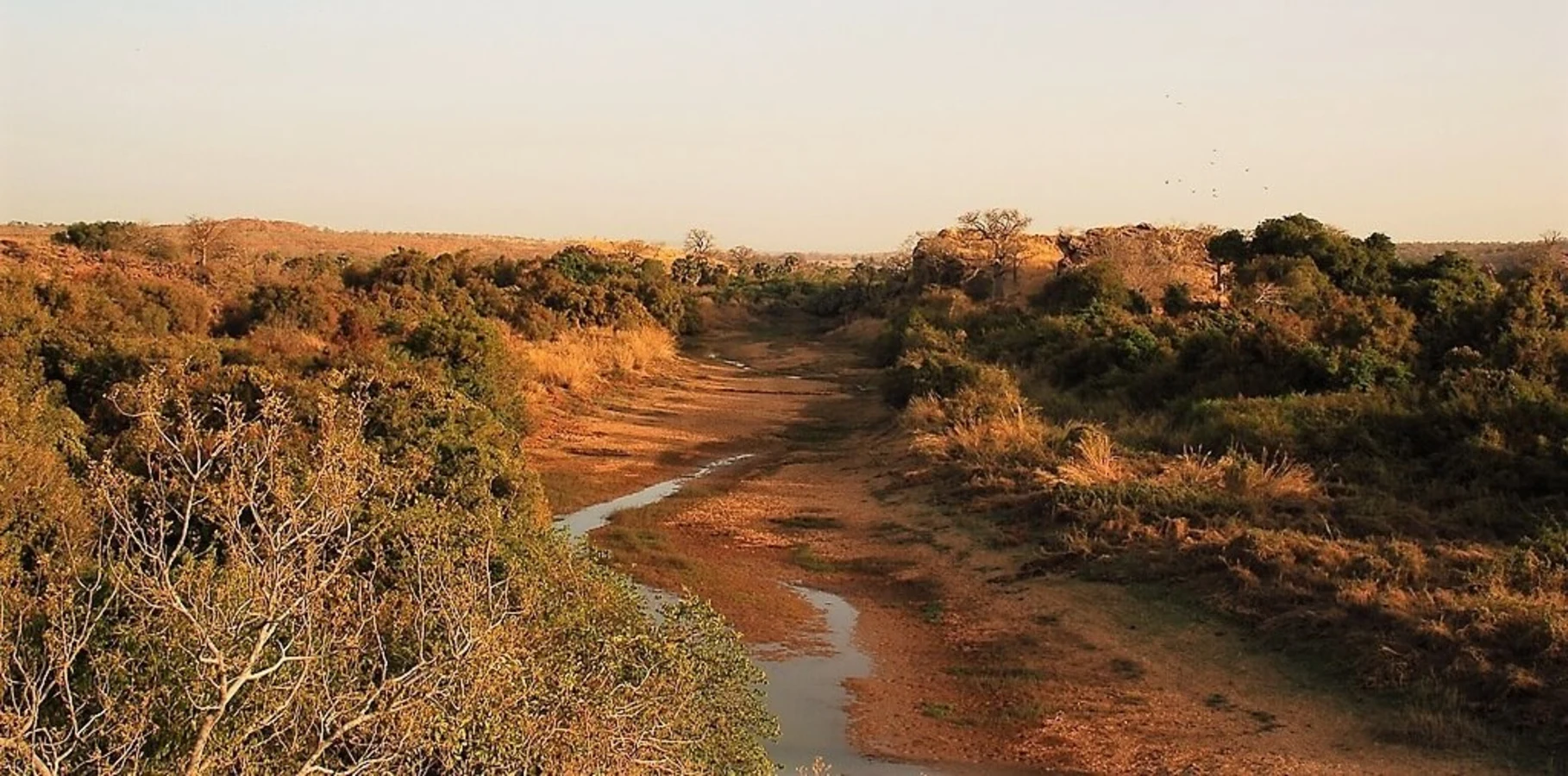 Parc national du W du Niger, Niger, Bénin, Burkina Faso
