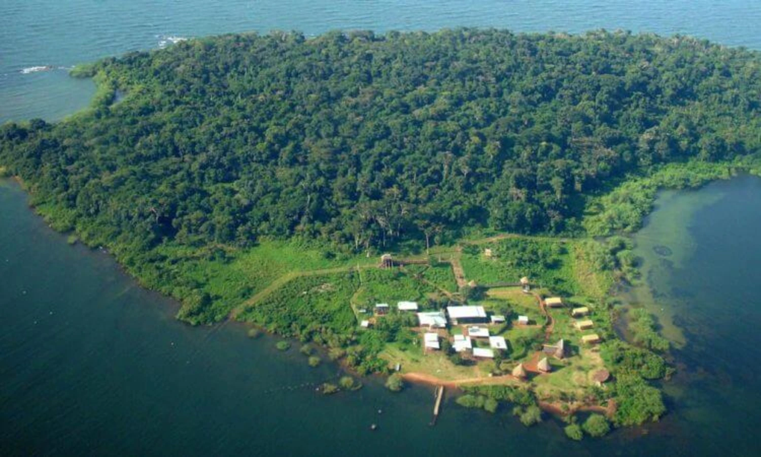 Chimpanzee Island, Ouganda