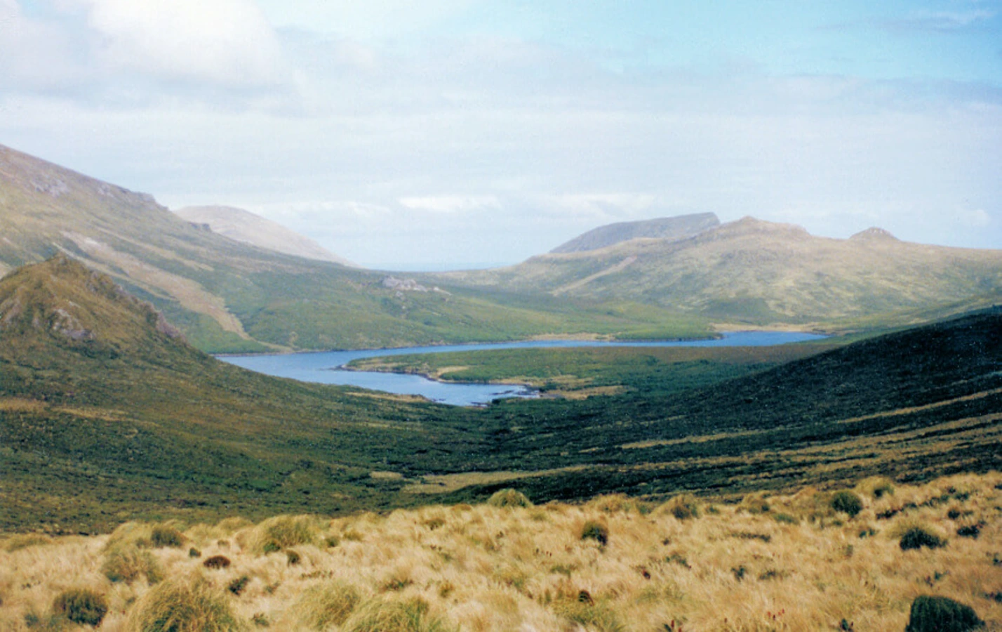 Île Campbell, Nouvelle-Zélande