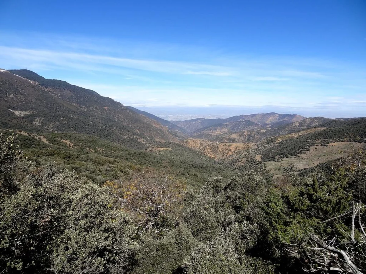 Parc national de Tazekka, Maroc