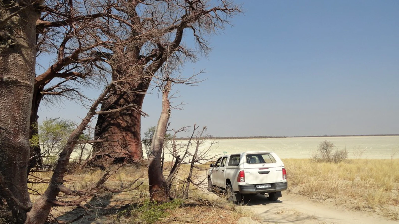Parc national de Nxai Pan, Botswana