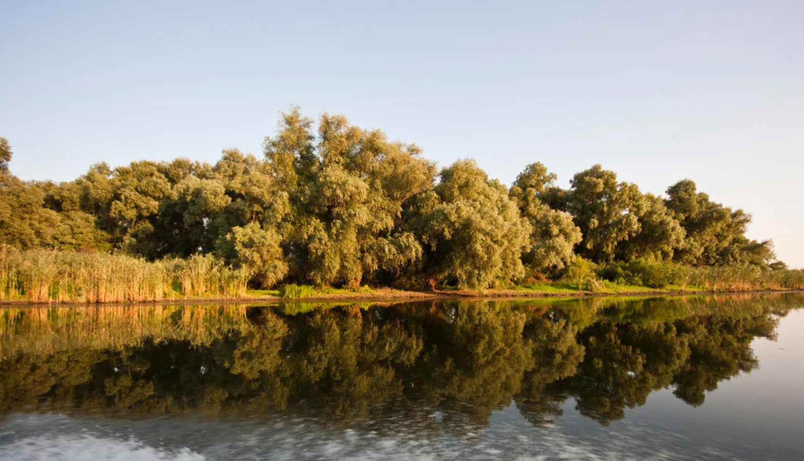 Delta du Danube, Roumanie, Ukraine
