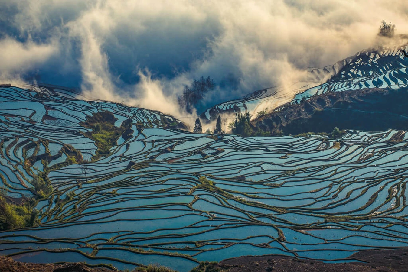 Rizières en terrasse des Hani de Honghe, Chine