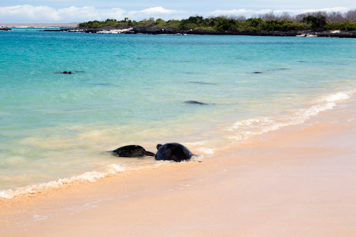 Îles Galapagos, Équateur, Îles Galápagos