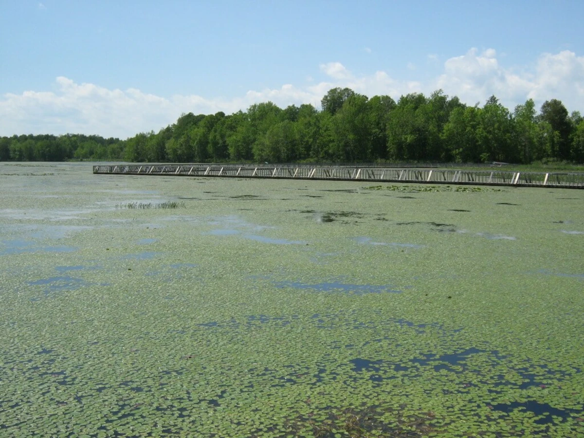 Parc national de Plaisance, Canada