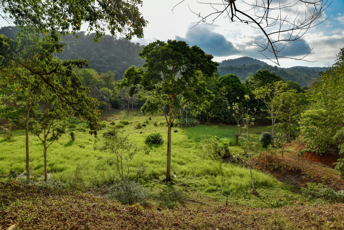 Parc national Corcovado, Costa Rica