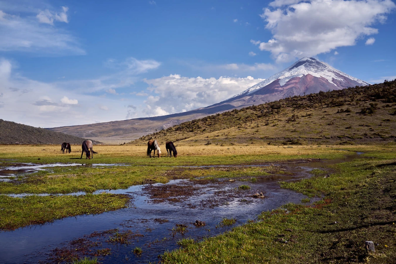 Cotopaxi, Équateur, Équateur