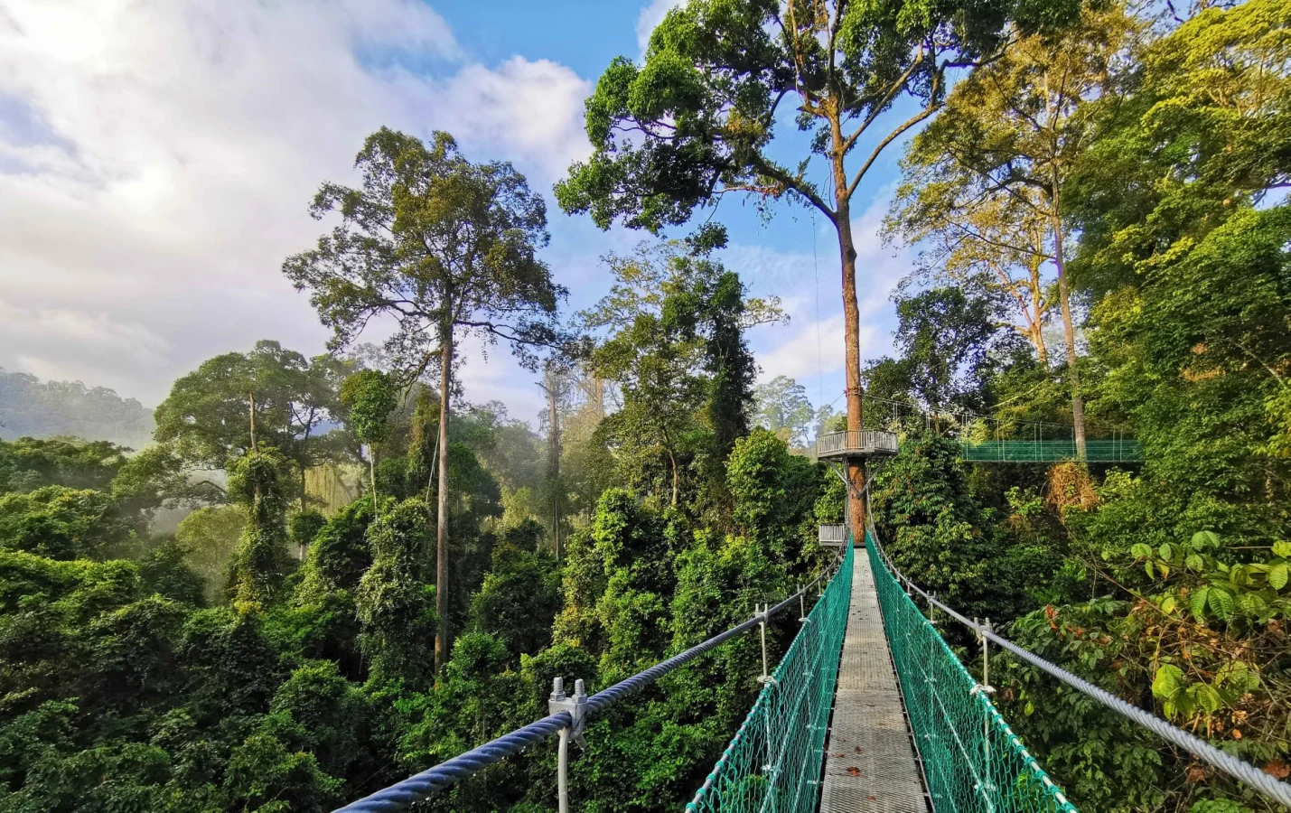Zone de conservation de la vallée du Danum, Malaisie