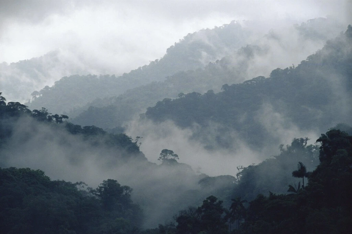 Réserve biologique de Monteverde, Costa Rica, Costa Rica