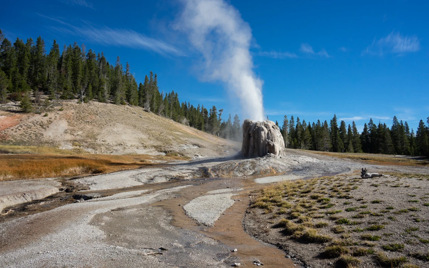 Lone Star Geyser, États-Unis