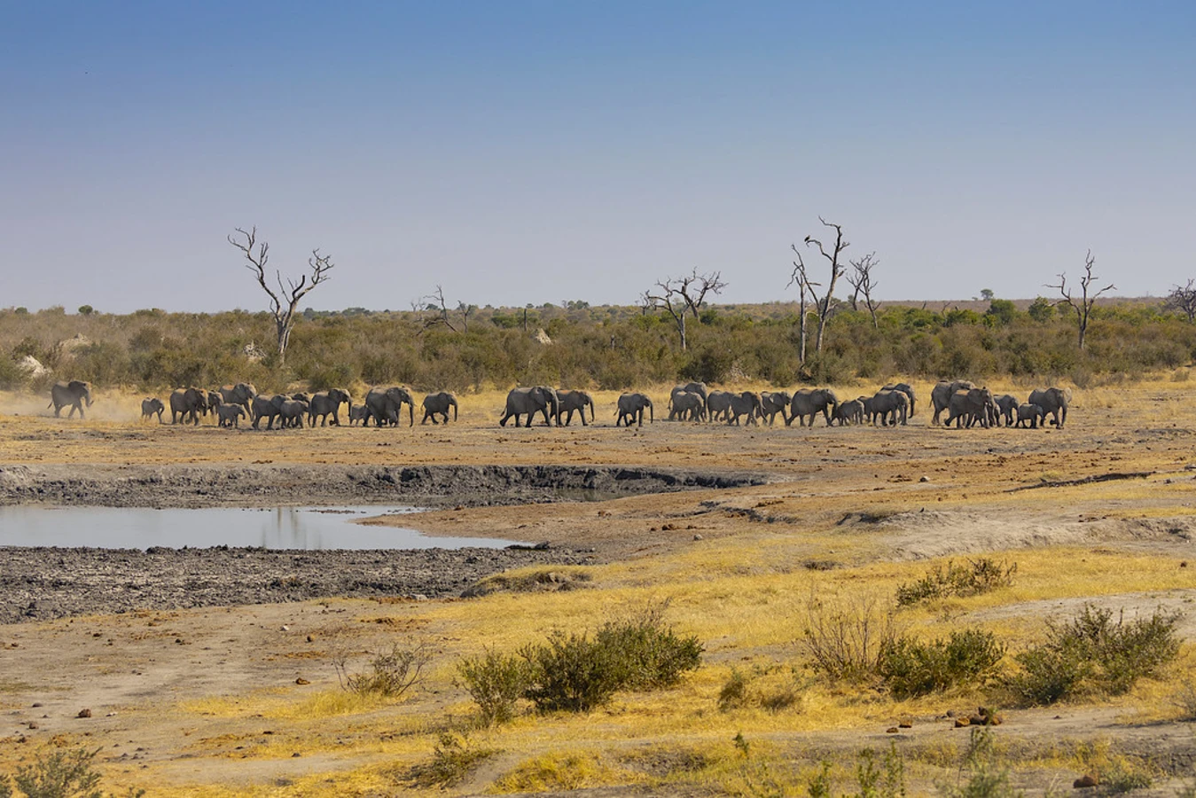 Parc national de Khaudom, Namibie