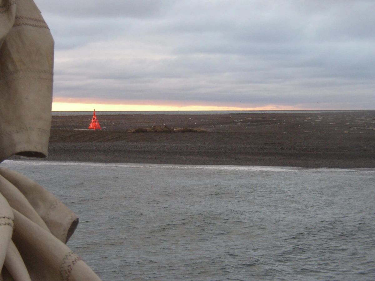 Moffen, Svalbard et Jan Mayen