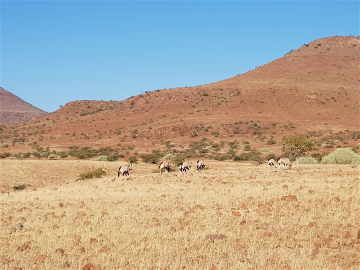 Etendeka Walking Trail, Namibie