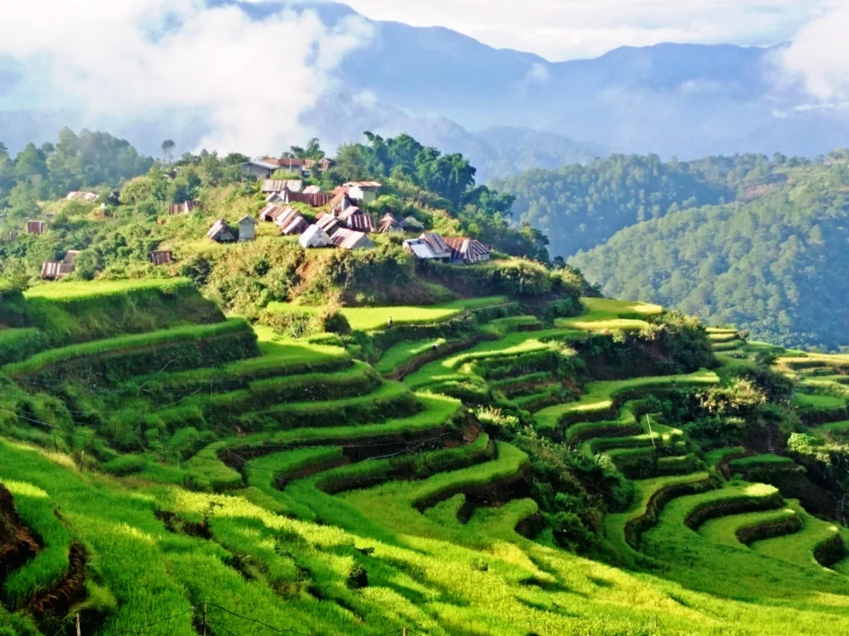 Maligcong Rice Terraces, Philippines