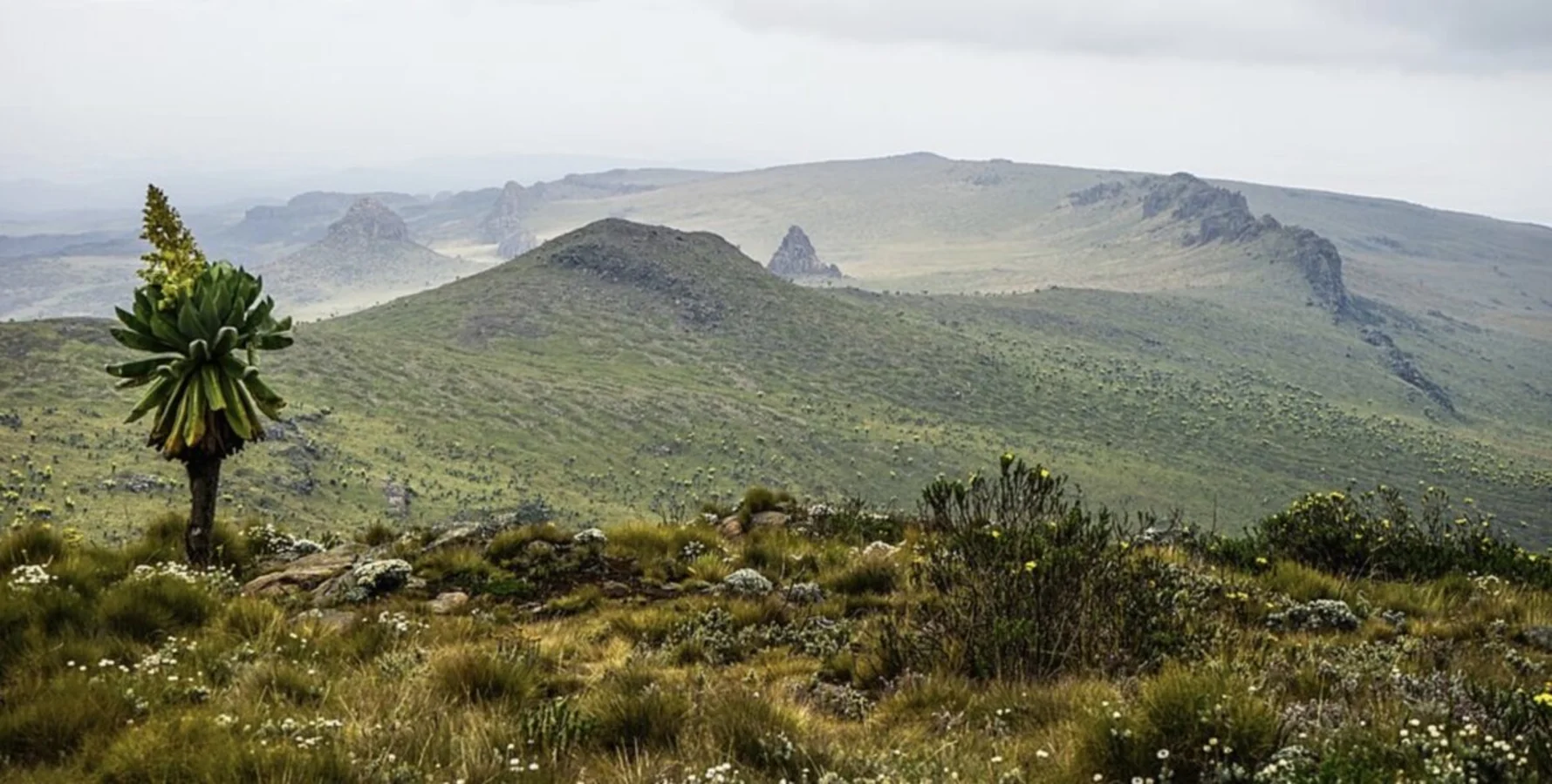 Aberdare, Kenya